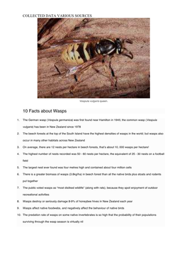 German Wasps (Vespula Common Wasps (Vespula Germanica) Vulgaris)