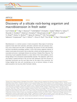 Discovery of a Silicate Rock-Boring Organism and Macrobioerosion in Fresh Water