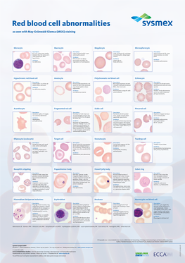 Red Blood Cell Abnormalities As Seen with May-Grünwald-Giemsa (MGG) Staining