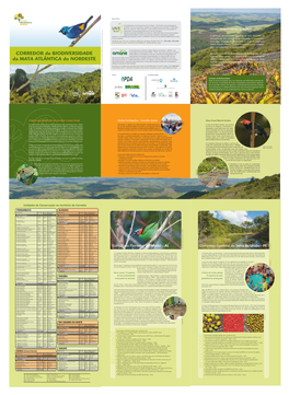 Corredor Da Biodiversidade Do Nordeste