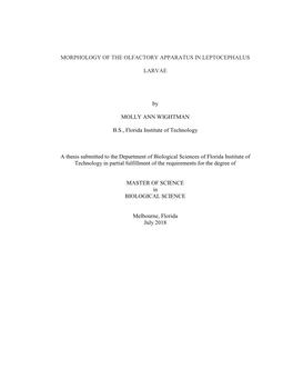 Morphology of the Olfactory Apparatus in Leptocephalus