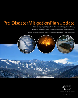 Pre-Disaster Mitigation Plan Update Pitkin County, City of Aspen, Town of Snowmass Village, Town of Basalt