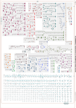 Generated by SRI International Pathway Tools Version 25.0, Authors S