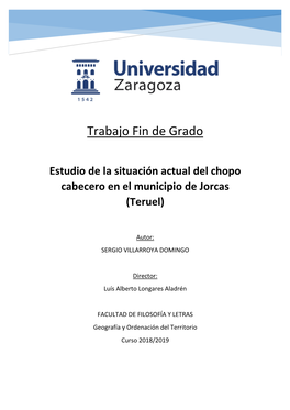 Trabajo Fin De Grado