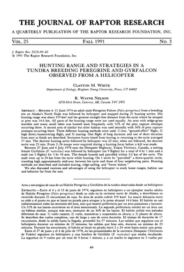 Hunting Range and Strategies in a Tundra Breeding Peregrine and Gyrfalcon Observed from a Helicopter