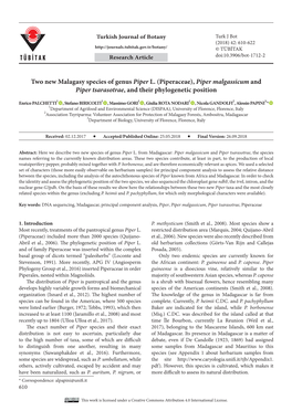 Two New Malagasy Species of Genus Piper L. (Piperaceae), Piper Malgassicum and Piper Tsarasotrae, and Their Phylogenetic Position