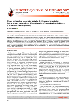 Notes on Feeding, Locomotor Activity Rhythms and Orientation in the Pygmy Mole Cricket Afrotridactylus Cf