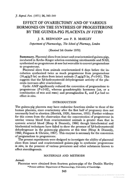 Progesterone by the Guinea-Pig Placenta in Vitro