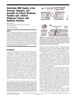 Solid-State NMR Studies of the Structure And