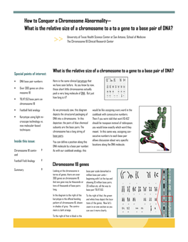 What Is the Relative Size of a Chromosome to a to a Gene to a Base Pair of DNA?