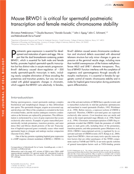 Mouse BRWD1 Is Critical for Spermatid Postmeiotic Transcription and Female Meiotic Chromosome Stability