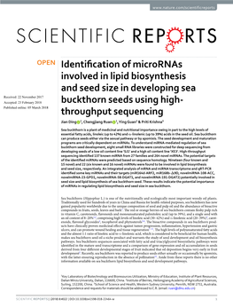 Identification of Micrornas Involved in Lipid Biosynthesis and Seed Size In