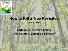 How to Kill a Tree Revisited (Or a Shrub)