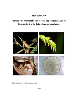 Hallazgo De Mirmecofilia En Acacia Spp (Fabaceae), En La Región Central De Cuba. Agentes Asociados