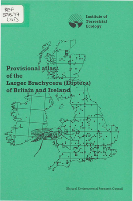0 Provisional of the Larger Brachycera