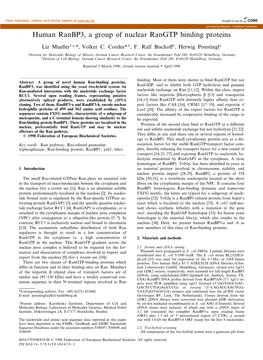 Human Ranbp3, a Group of Nuclear Rangtp Binding Proteins