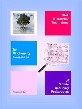 DNA Microarray Technology for Biodiversity Inventories of Sulfate Reducing Prokaryotes
