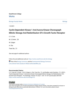 Cyclin-Dependent Kinase 1 and Aurora Kinase Choreograph Mitotic Storage and Redistribution of a Growth Factor Receptor