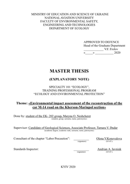 Master Thesis