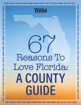 Reasons to Love Florida: a COUNTY