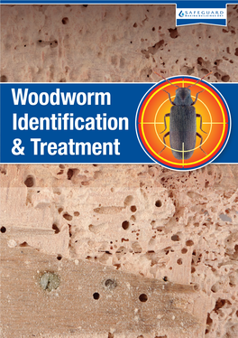 Woodworm Identification & Treatment