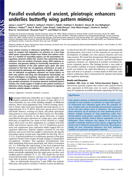 Parallel Evolution of Ancient, Pleiotropic Enhancers Underlies Butterfly Wing Pattern Mimicry