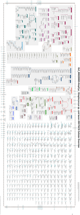 Generated by SRI International Pathway Tools Version 25.0 on Fri