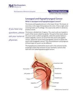 Laryngeal and Hypopharyngeal Cancer What Is Laryngeal and Hypopharyngeal Cancer? the Larynx and Hypopharynx Are in the Lower Throat