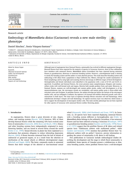 Embryology of Mammillaria Dioica (Cactaceae) Reveals a New Male