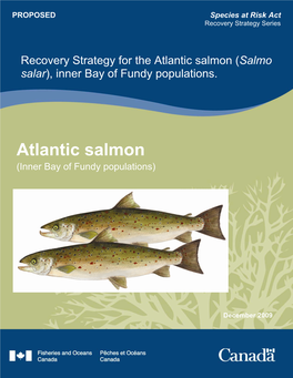 Atlantic Salmon (Salmo Salar), Inner Bay of Fundy Populations