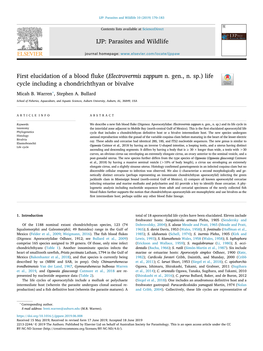 First Elucidation of a Blood Fluke (Electrovermis Zappum N. Gen., N