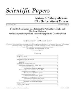 Upper Carboniferous Insects from the Pottsville Formation of Northern Alabama (Insecta: Ephemeropterida, Palaeodictyopterida, Odonatoptera)