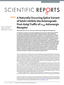 A Naturally Occurring Splice Variant of GGA1 Inhibits the Anterograde