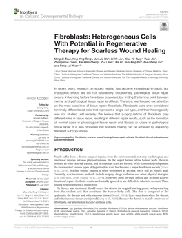 Fibroblasts: Heterogeneous Cells with Potential in Regenerative Therapy for Scarless Wound Healing