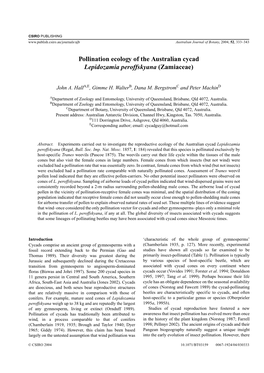 Pollination Ecology of the Australian Cycad Lepidozamia Peroffskyana (Zamiaceae)