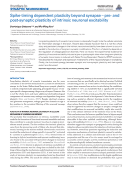 And Post-Synaptic Plasticity of Intrinsic Neuronal Excitability