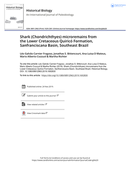 Shark (Chondrichthyes) Microremains from the Lower Cretaceous Quiricó Formation, Sanfranciscana Basin, Southeast Brazil