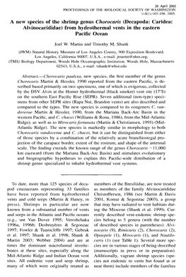 A New Species of the Shrimp Genus Chorocaris (Decapoda: Caridea: Alvinocarididae) from Hydrothermal Vents in the Eastern Pacific Ocean