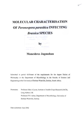 MOLECULAR CHARACTERISATION of Peronospora Parasitica INFECTING Brassica SPECIES