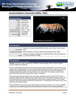 WA State Department of Ecology Benthic Invertebrate Voucher Sheet