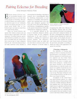 Pairing Eclectus for Breeding