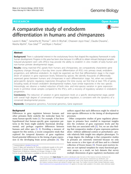 A Comparative Study of Endoderm Differentiation in Humans and Chimpanzees Lauren E