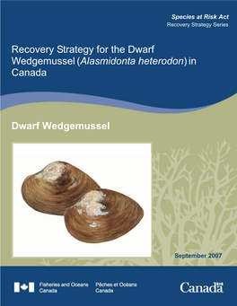 Recovery Strategy for the Dwarf Wedgemussel (Alasmidonta Heterodon) in Canada