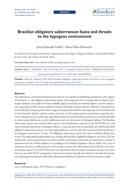 Brazilian Obligatory Subterranean Fauna and Threats to the Hypogean Environment