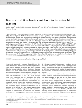 Deep Dermal Fibroblasts Contribute to Hypertrophic Scarring