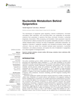 Nucleotide Metabolism Behind Epigenetics