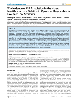 Whole-Genome SNP Association in the Horse: Identification of a Deletion in Myosin Va Responsible for Lavender Foal Syndrome