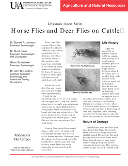 Horse Flies and Deer Flies on Cattle