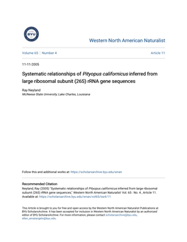 Systematic Relationships of Pityopus Californicus Inferred from Large Ribosomal Subunit (26S) Rrna Gene Sequences