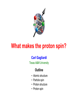 What Makes the Proton Spin?